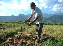 Com 60% dos pedidos de aposentadoria negados, agricultores reclamam de novas regras