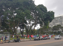 Em Curitiba, carreata e bicletada levam manifestantes às ruas contra Bolsonaro