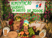 10 motivos imperdíveis para visitar a 22ª Jornada de Agroecologia do Paraná